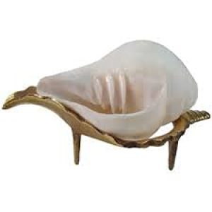 Loud Blowing Valampuri Sangu Conch Shell Shankh for Pooja with Brass Stand Size 4 Inch 