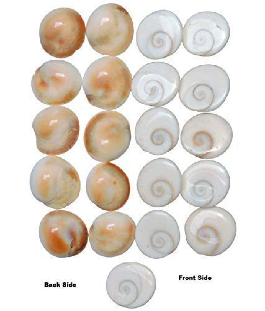 Natural Gomti Chakra Original for Puja 